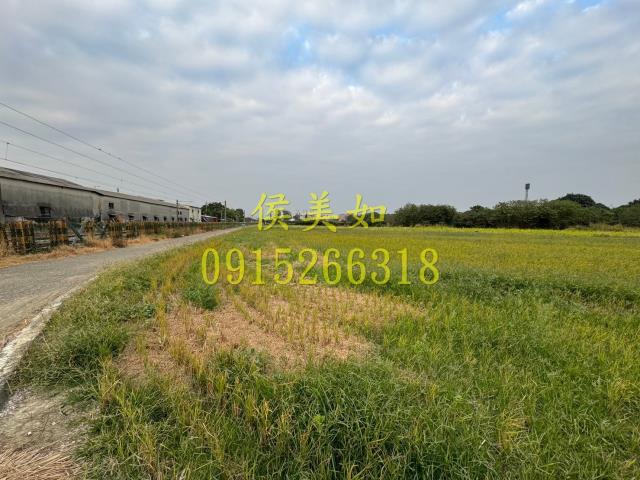 嘉義水上農地-6