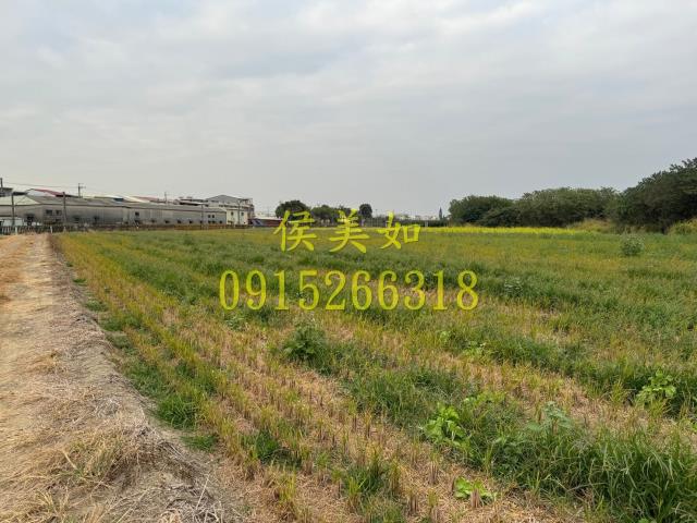 嘉義水上農地-8