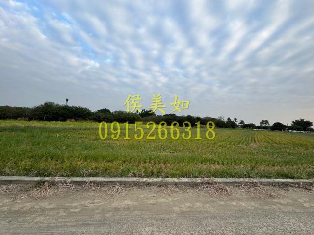 嘉義水上農地-9