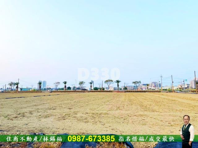 台南善化農地-3