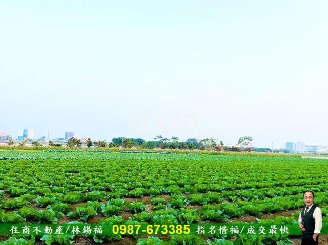 台南善化農地-7