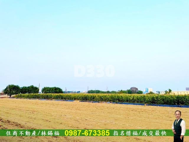 台南善化農地-1