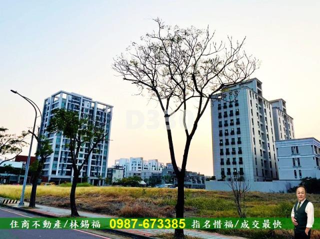 台南善化農地-4