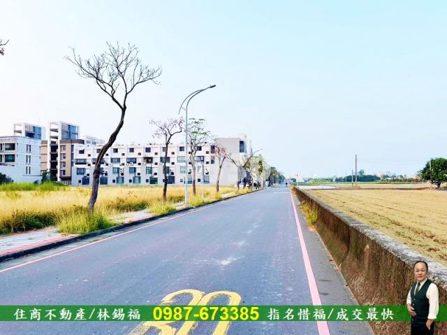 台南善化農地-5