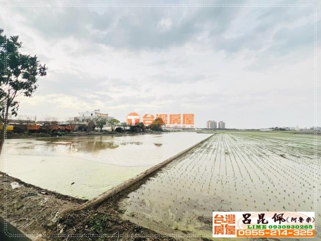 嘉義太保農地-2