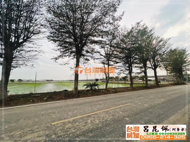 嘉義太保農地-4