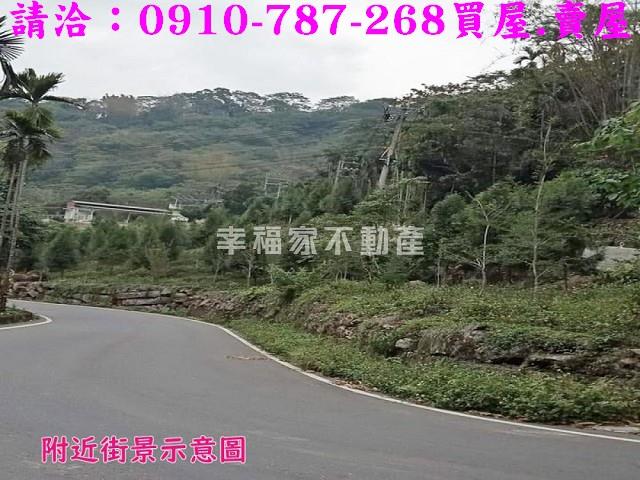 嘉義番路農地-11