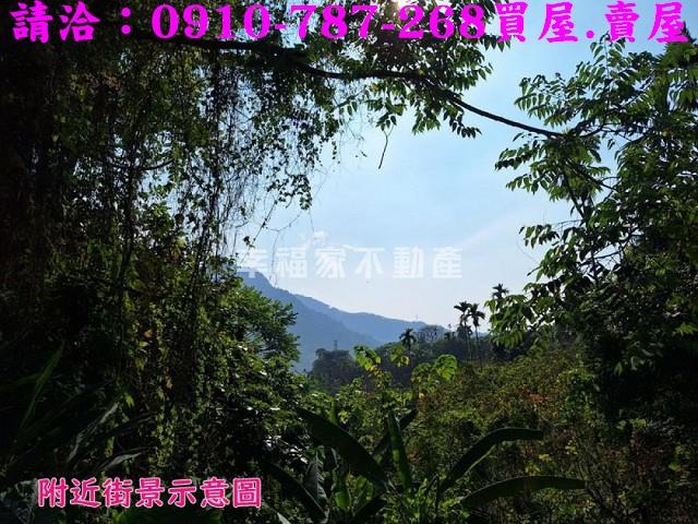 嘉義番路農地-13