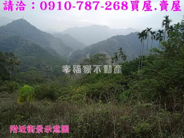 嘉義番路農地-4