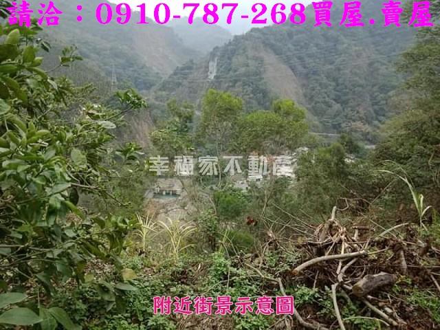 嘉義番路農地-5