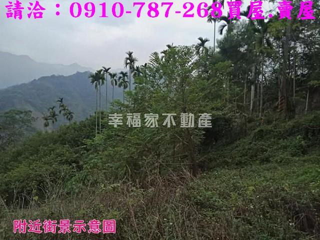 嘉義番路農地-6