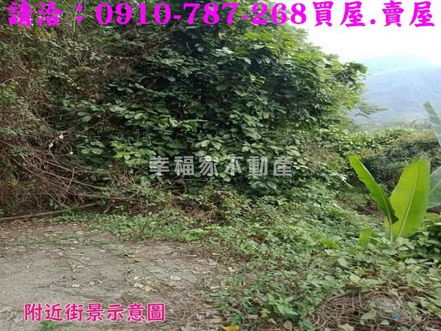 嘉義番路農地-7