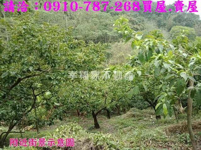 嘉義番路農地-8