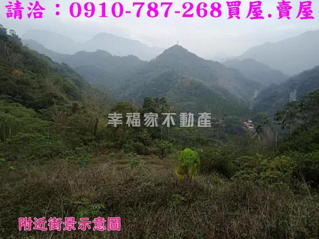 嘉義番路農地-9