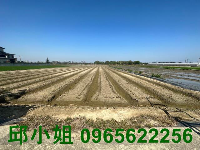 嘉義太保農地-1