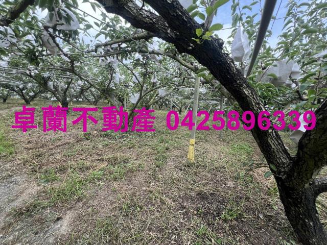 苗栗農地-2