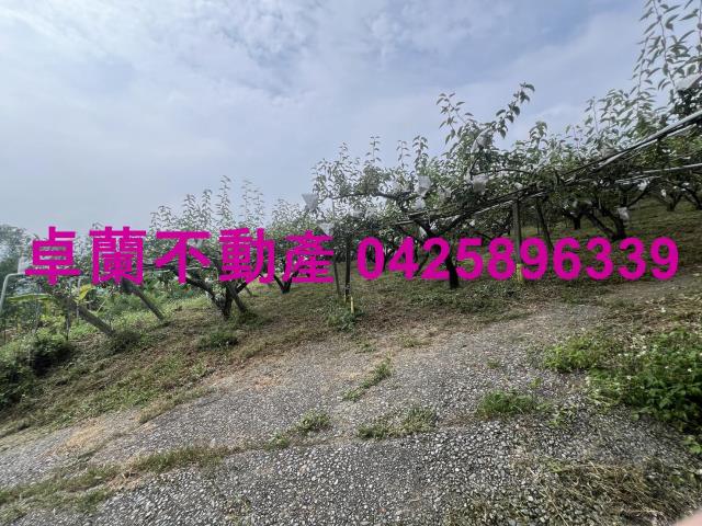 苗栗農地-3