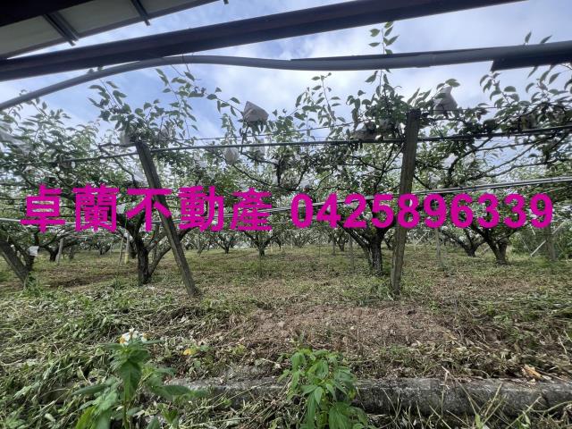 苗栗農地-6