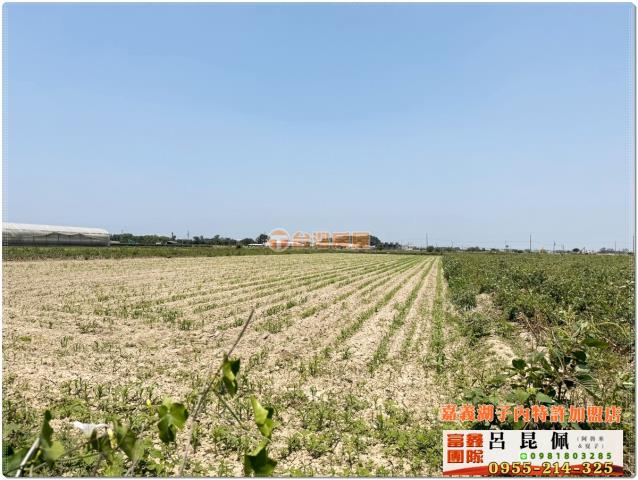 嘉義六腳農地-4