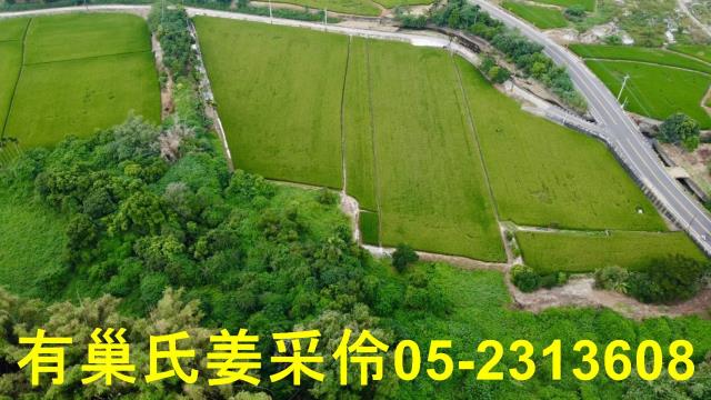 民雄農地-10