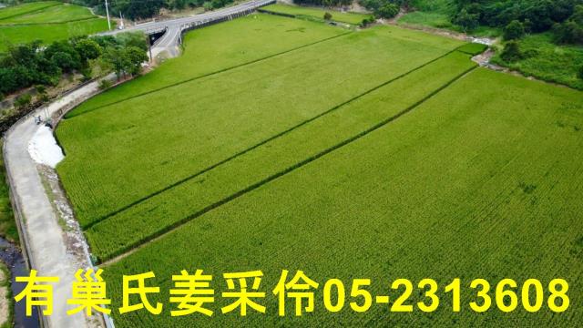 民雄農地-13
