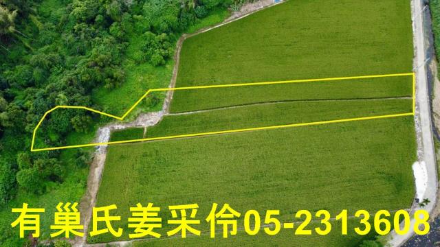 民雄農地-1