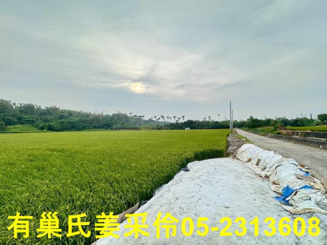 民雄農地-2