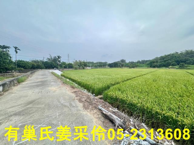 民雄農地-5