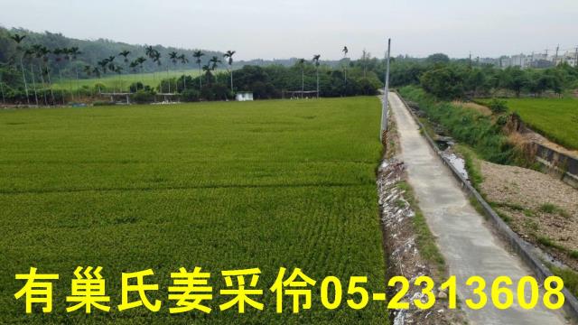 民雄農地-7