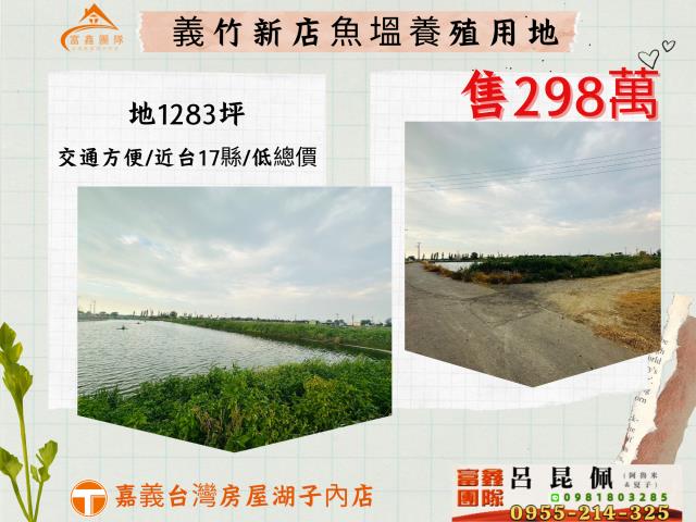 嘉義義竹農地-1