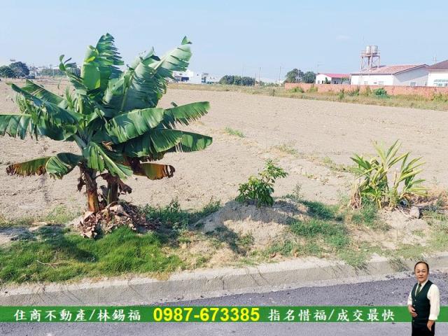 台南永康農地-13