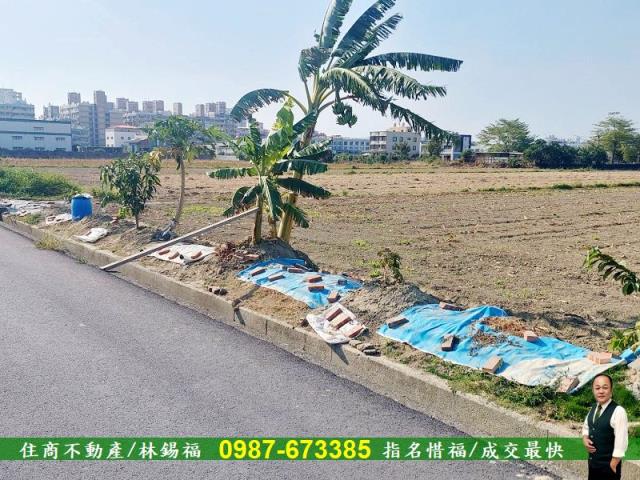 台南永康農地-8