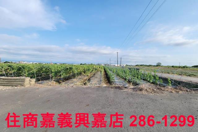 嘉義農地-10