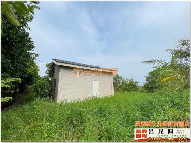 嘉義水上農地-1