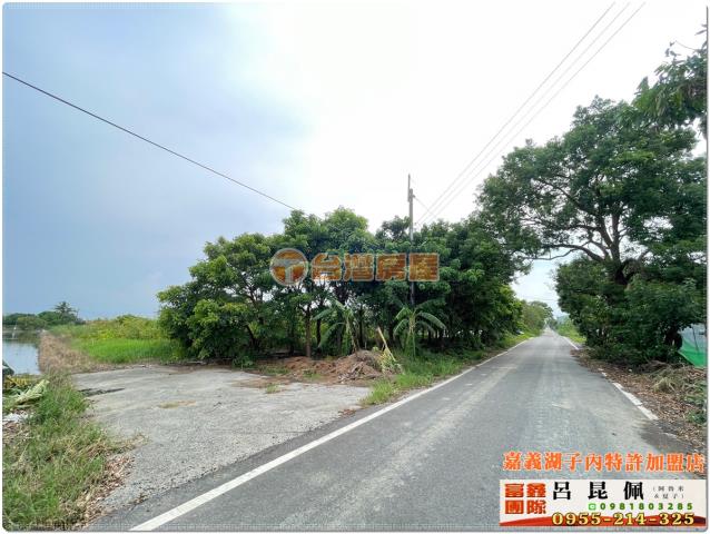 嘉義水上農地-2