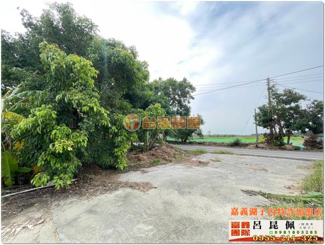 嘉義水上農地-3