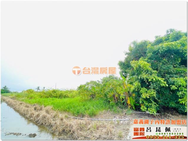 嘉義水上農地-4