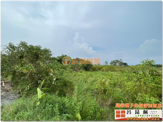 嘉義水上農地-5