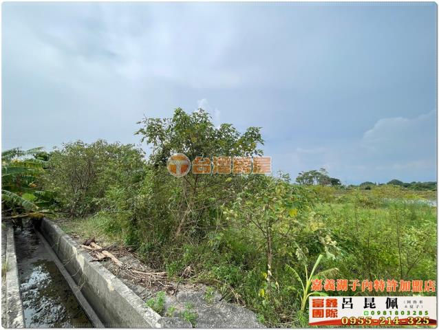 嘉義水上農地-6