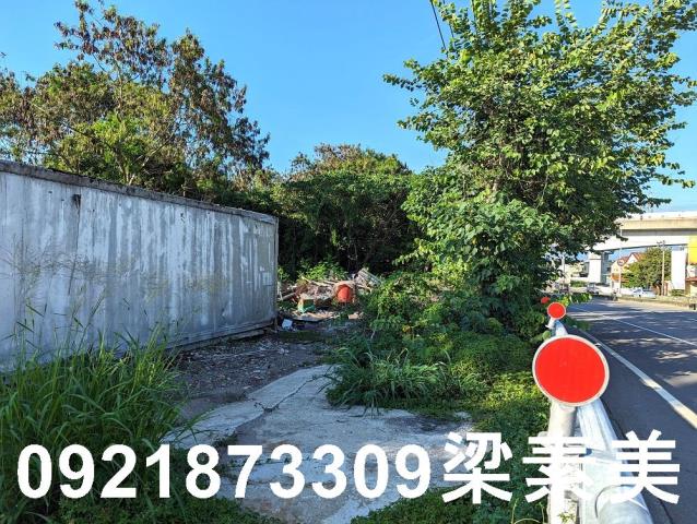 台南新市農地-5