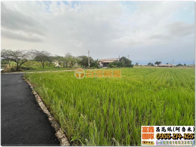 嘉義水上農地-2