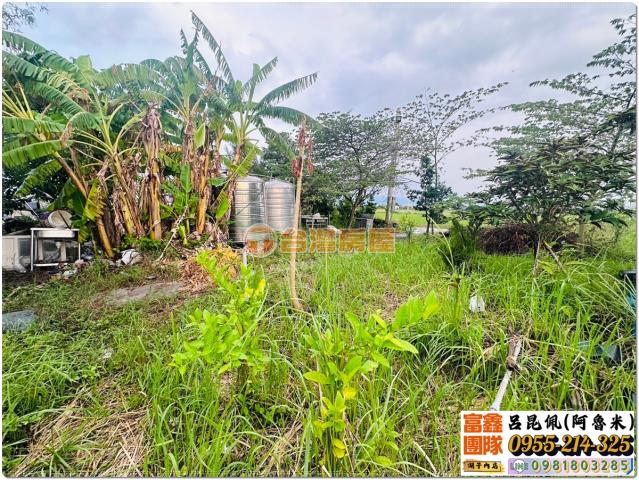 嘉義水上農地-3