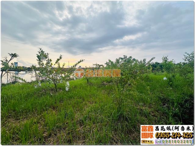 嘉義水上農地-4