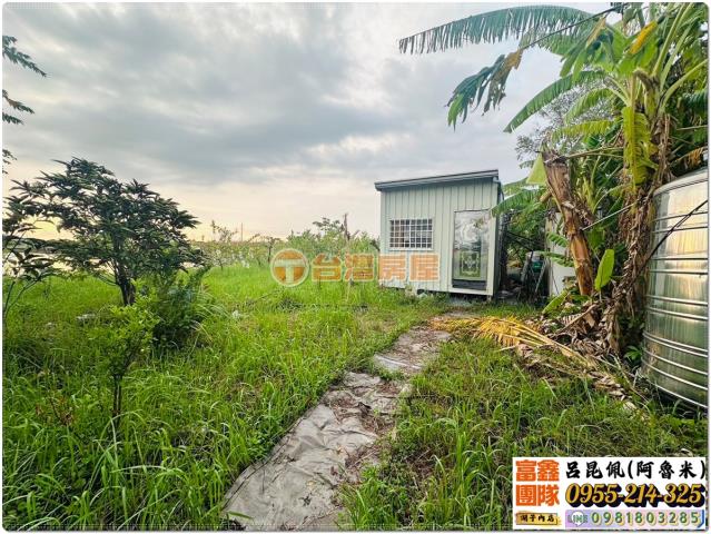 嘉義水上農地-5