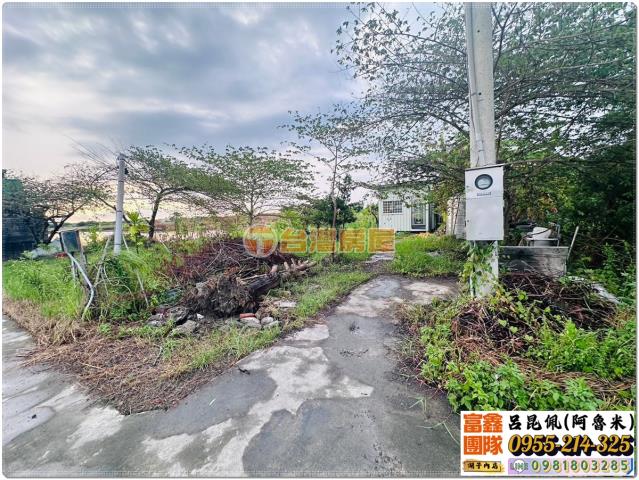 嘉義水上農地-6