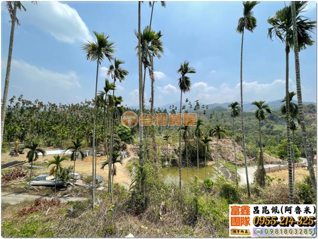 嘉義中埔農地-2