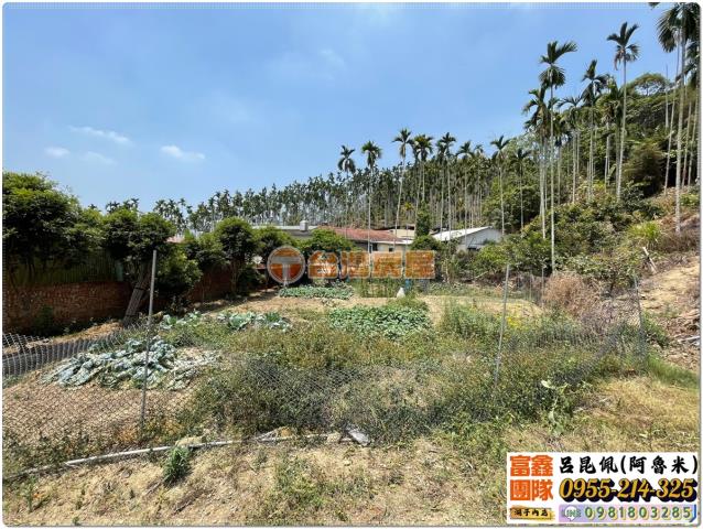 嘉義中埔農地-3