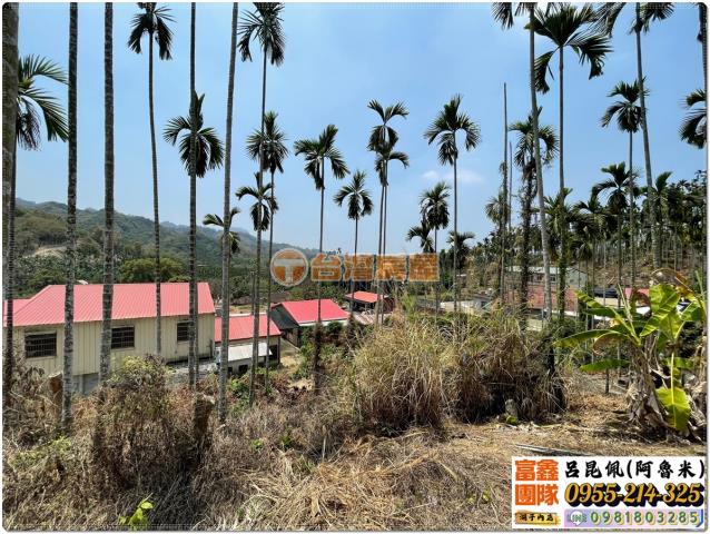 嘉義中埔農地-4