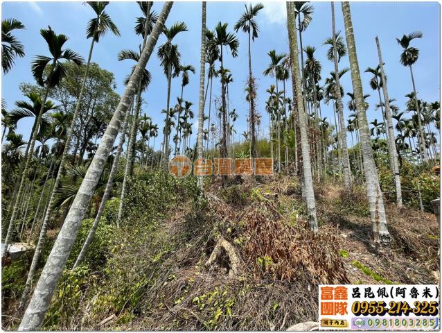 嘉義中埔農地-5