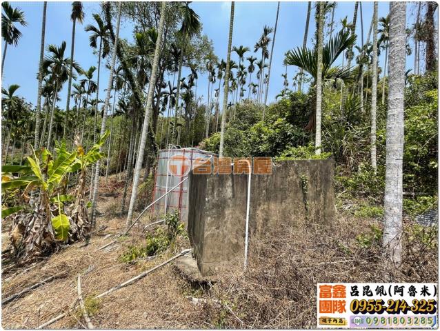 嘉義中埔農地-6